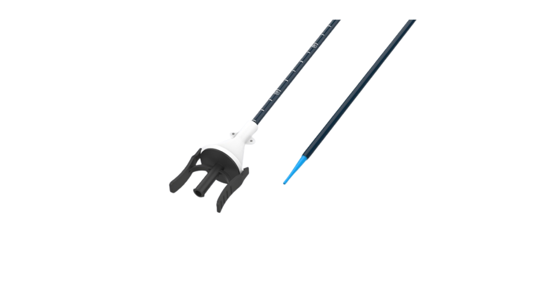 Ureteral Access Sheath