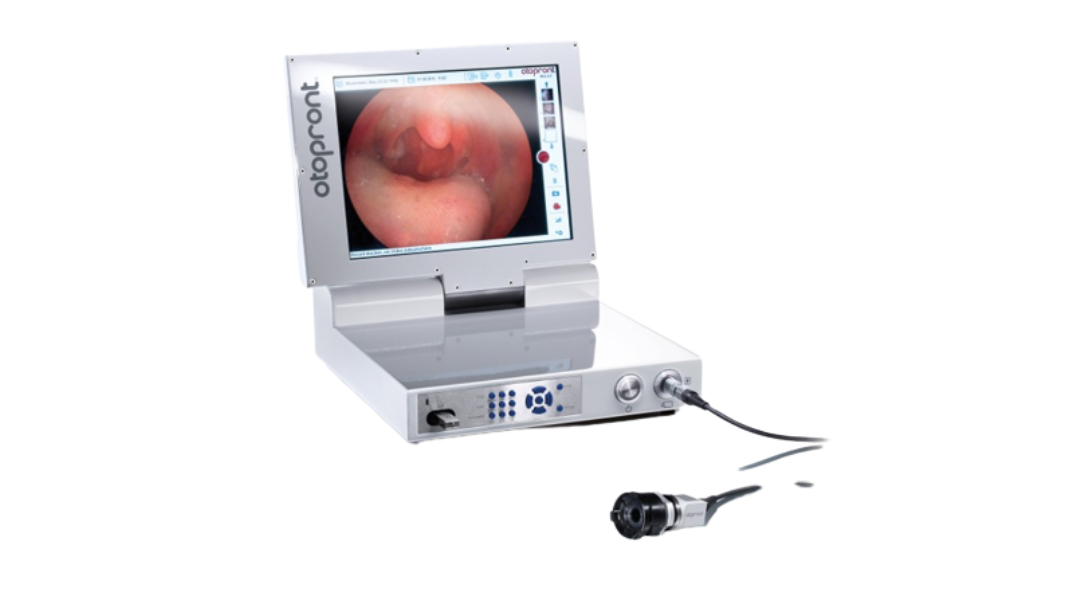 Portable Endoscopy System1