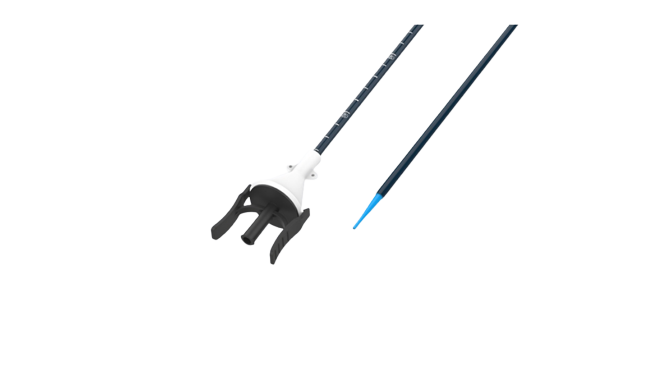 Ureteral Access Sheath